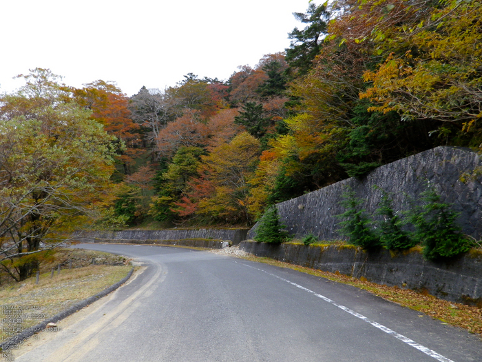 大台ヶ原_2011_紅葉_16.jpg