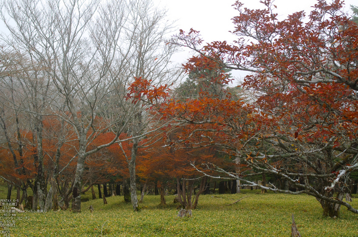 大台ヶ原_2011_紅葉_49.jpg