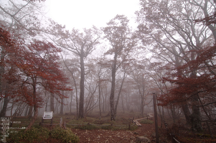 大台ヶ原_2011_紅葉_5.jpg