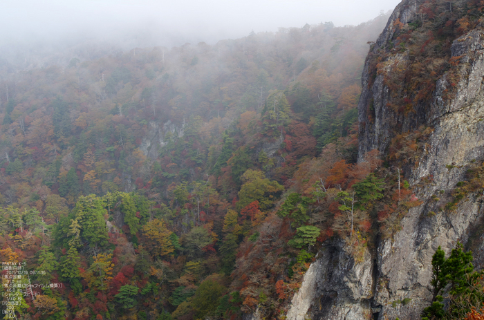 大台ヶ原_2011_紅葉_8.jpg