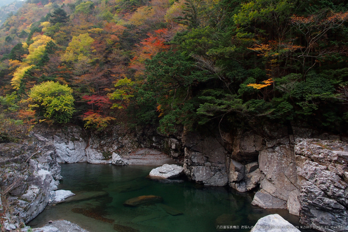 2011_奈良・みたらい渓谷紅葉_18.jpg