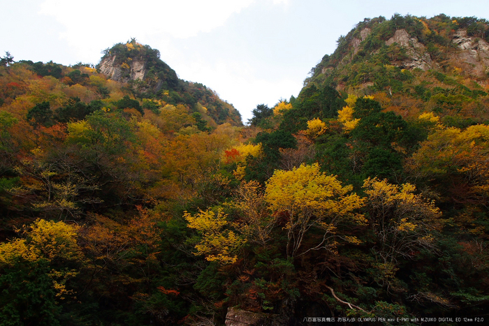 2011_奈良・みたらい渓谷紅葉_20.jpg