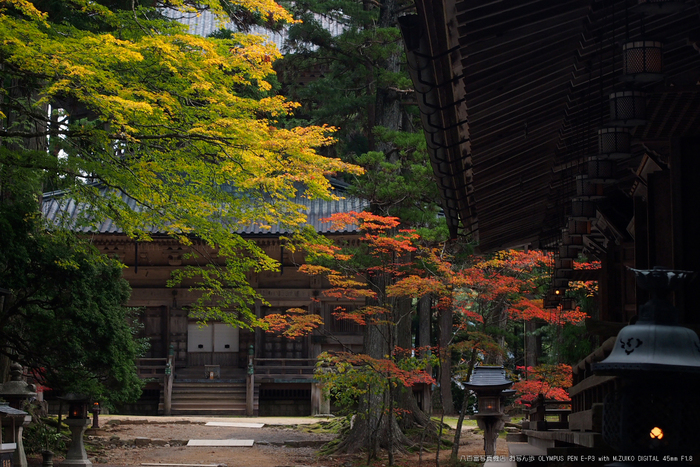 2011高野山紅葉_13.jpg