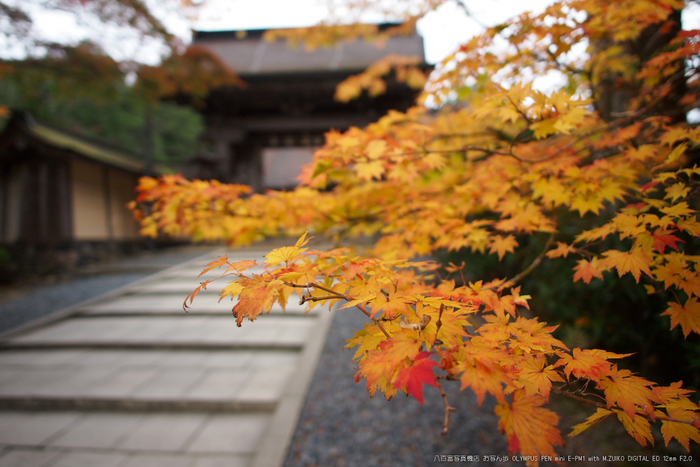 2011高野山紅葉_17.jpg