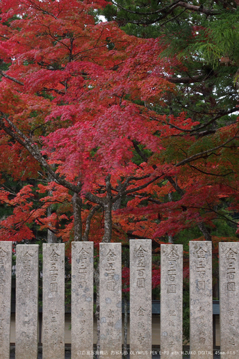 2011高野山紅葉_3.jpg