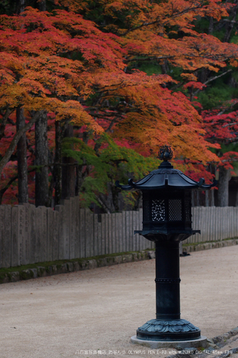 2011高野山紅葉_6.jpg