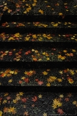 NikonV1_笠置寺・紅葉_2011_5_F.jpg