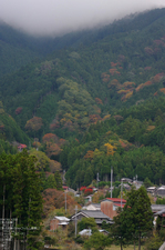 和佐羅滝・紅葉_2011_2.jpg