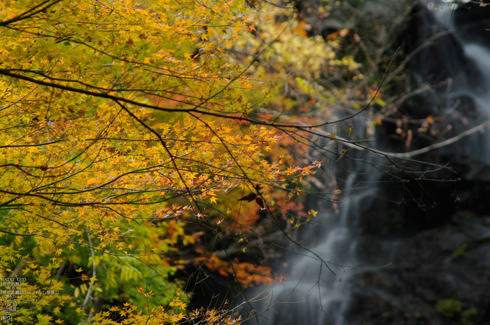 和佐羅滝・紅葉_2011_6.jpg