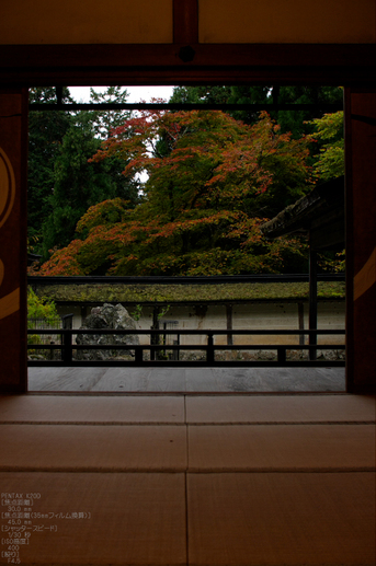 常照皇寺_紅葉_2011_10.jpg