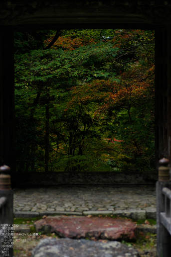 常照皇寺_紅葉_2011_16.jpg