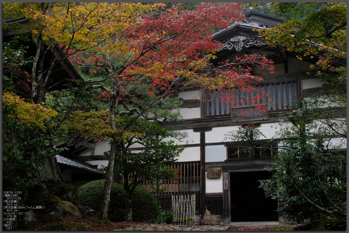 常照皇寺_紅葉_2011_top1.jpg