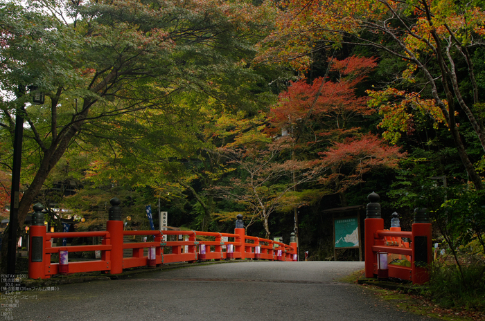 神護寺_紅葉_2011_6.jpg