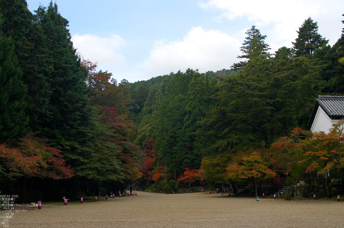 神護寺_紅葉_2011_7.jpg