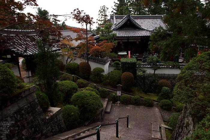 霊山寺_2011秋季特別公開_6.jpg