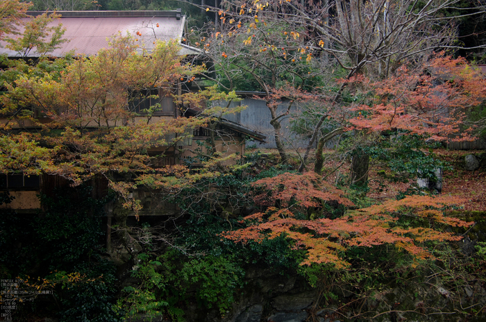 魚止滝・紅葉_2011_11.jpg