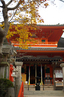 信貴山朝護孫子寺紅葉_2011_10.jpg