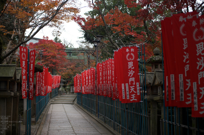 信貴山朝護孫子寺紅葉_2011_11.jpg