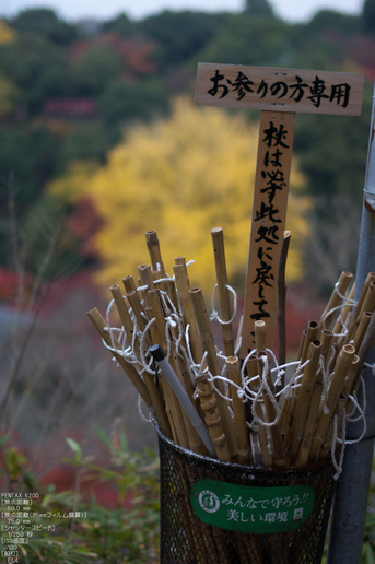 信貴山朝護孫子寺紅葉_2011_15.jpg