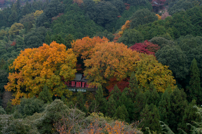 信貴山朝護孫子寺紅葉_2011_17.jpg