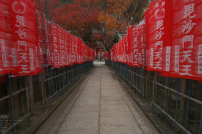 信貴山朝護孫子寺紅葉_2011_19.jpg