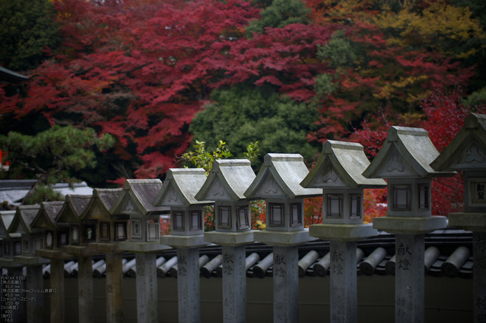 信貴山朝護孫子寺紅葉_2011_21.jpg