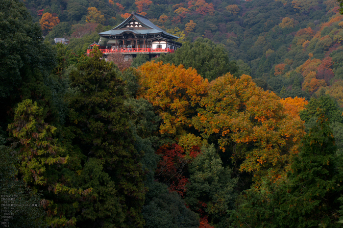 信貴山朝護孫子寺紅葉_2011_3.jpg