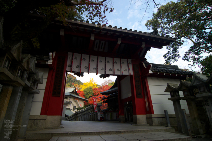 信貴山朝護孫子寺紅葉_2011_7.jpg