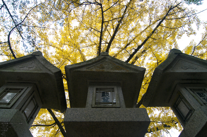 信貴山朝護孫子寺紅葉_2011_8.jpg