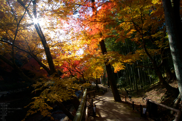 北野天満宮・御土居・紅葉_19.jpg