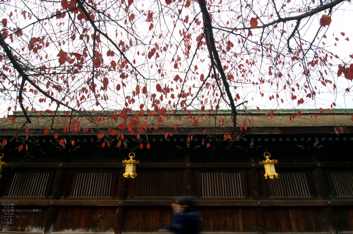 北野天満宮・御土居・紅葉_5.jpg