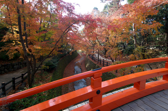 北野天満宮・御土居・紅葉_8.jpg