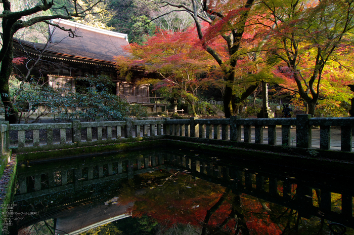 室生寺・紅葉_2011_15.jpg