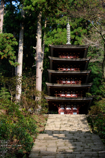 室生寺・紅葉_2011_18.jpg