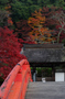 室生寺・紅葉_2011_2.jpg