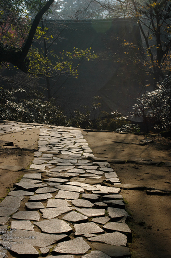 室生寺・紅葉_2011_22.jpg