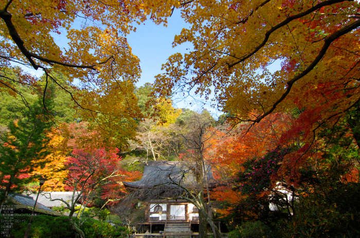 室生寺・紅葉_2011_35.jpg