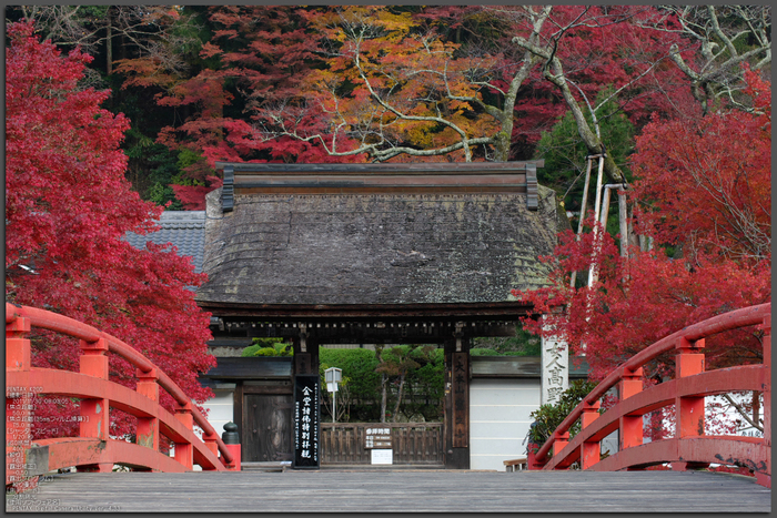 室生寺・紅葉_2011_top1.jpg