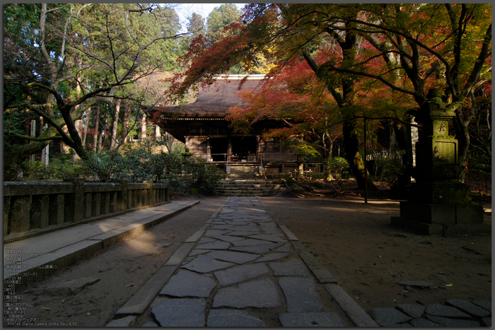 室生寺・紅葉_2011_top3.jpg