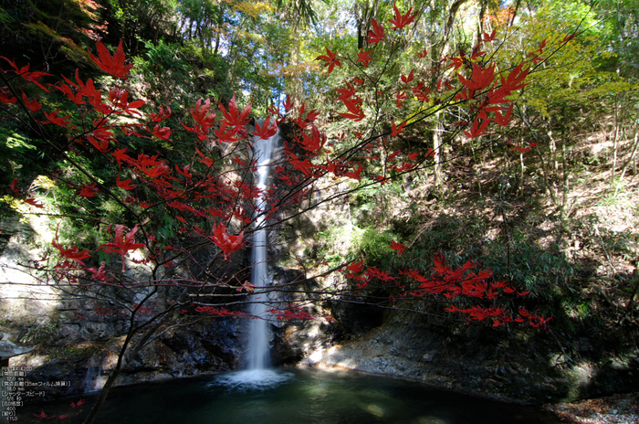 投石の滝・紅葉_2011_7.jpg