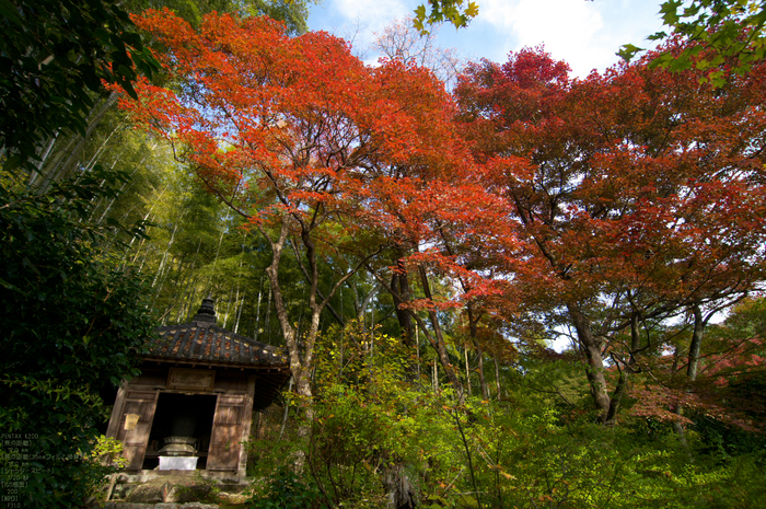 直指庵・紅葉_2011_5.jpg