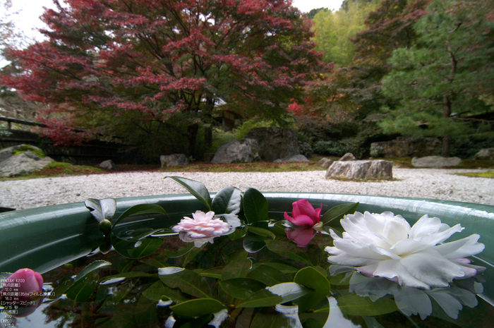 直指庵・紅葉_2011_8.jpg