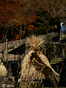 長谷寺紅葉_2011_4.jpg