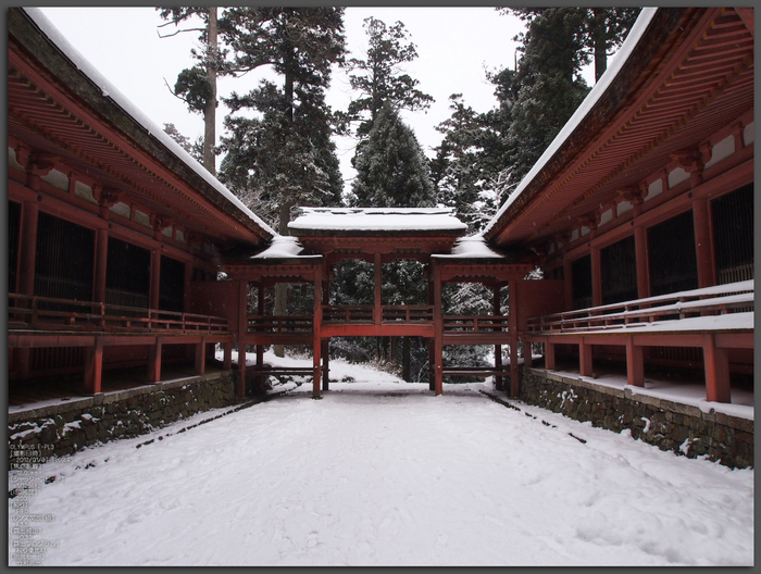 2012_比叡山延暦寺雪景_西塔_top1.jpg