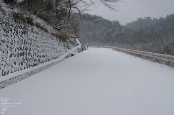 2012冬_月うさぎ_3.jpg