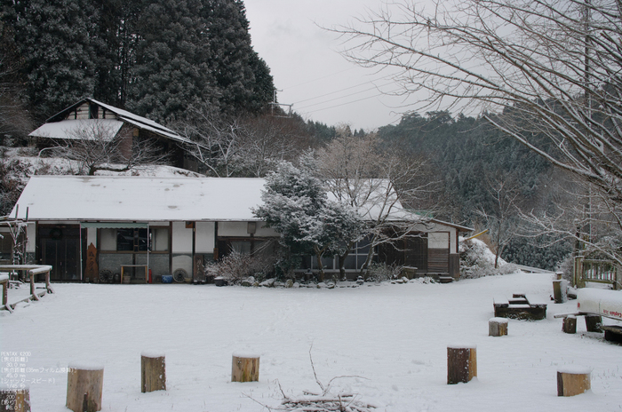 2012冬_月うさぎ_8.jpg