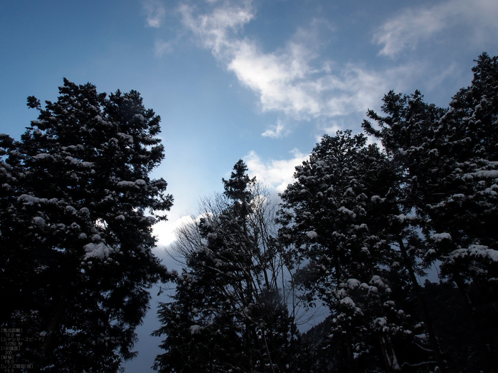 M.ZUIKO-DIGITAL-ED-12-50mm-F3.5-6.3-EZ_2012比叡山雪景_25.jpg