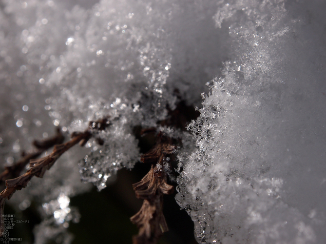 M.ZUIKO-DIGITAL-ED-12-50mm-F3.5-6.3-EZ_2012比叡山雪景_26.jpg