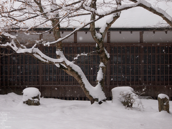 M.ZUIKODIGITAL-ED12-50mmF3.5-6.3EZ_比叡山雪景_浄土院_2012_11.jpg