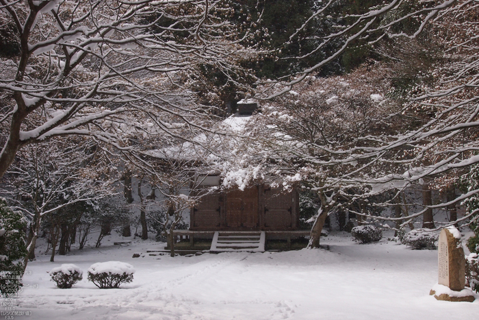 M.ZUIKODIGITAL_ED12-50mmF3.5-6.3EZ_比叡山横川雪景_14.jpg